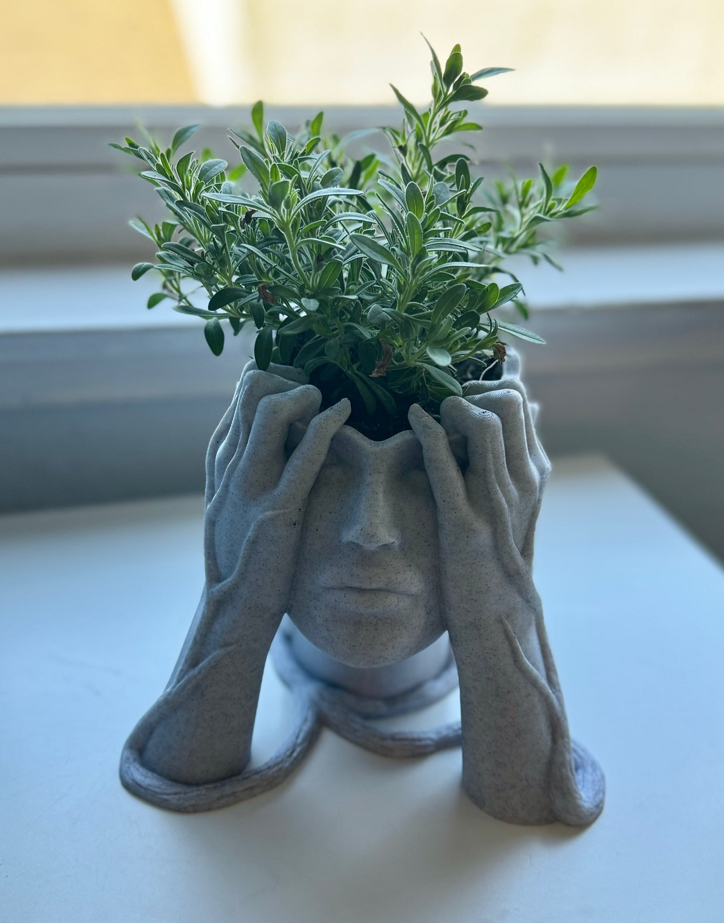 Artistic Head Pot